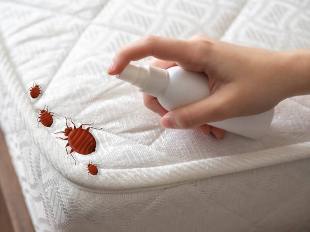 Pest Control Cost in Stromsburg, NE